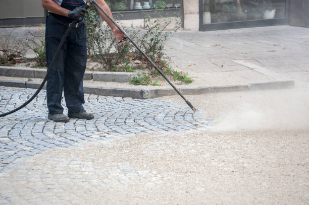Best Building Exterior Washing  in Lasalle, IL