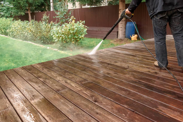 Best Fence Cleaning  in Lasalle, IL